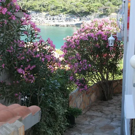 By The Sea Cove Zarace - Gdinj, Hvar - 4598 Apartmán *