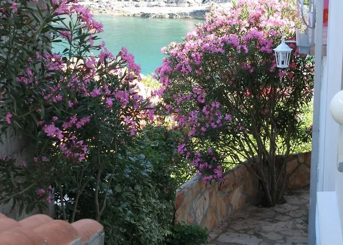 By The Sea Cove Zarace - Gdinj, Hvar - 4598 Apartmán *
